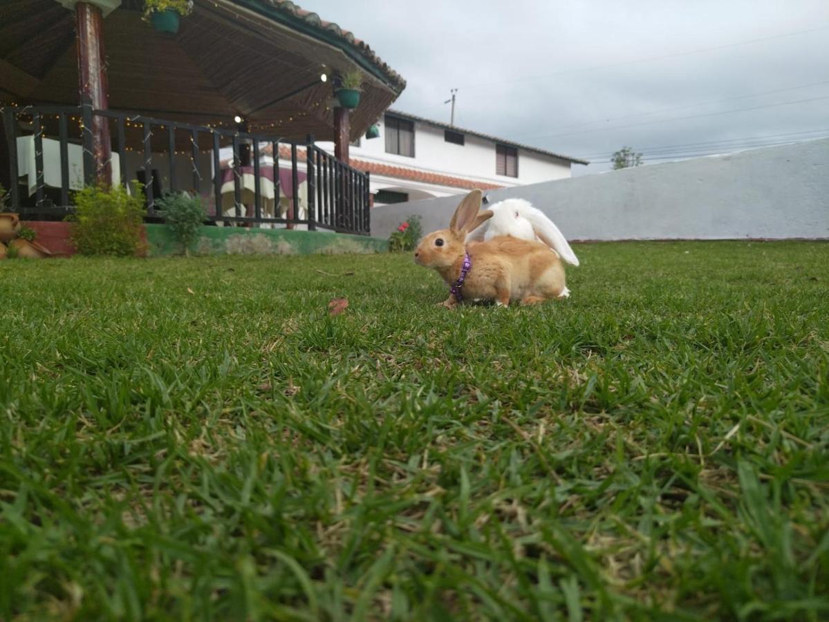 Quinta Winay Otel Yaruqui Dış mekan fotoğraf